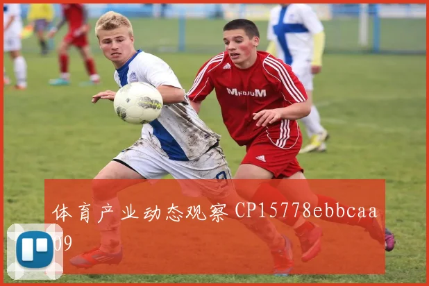 体育产业动态观察 CP15778ebbcaa09