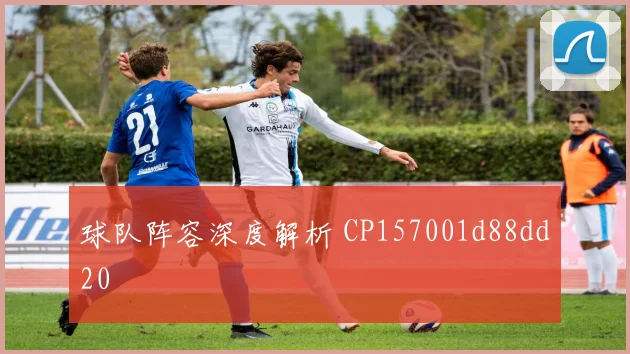 球队阵容深度解析 CP157001d88dd20