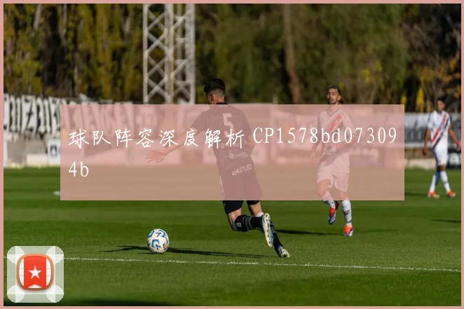 球队阵容深度解析 CP1578bd073094b